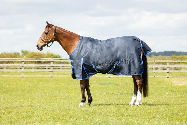 StormX Empra Reflect 0g Turnout Rug image 1